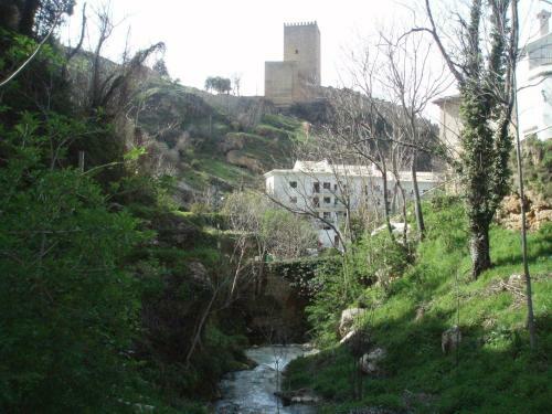 Apartamentos Castillo De La Yedra