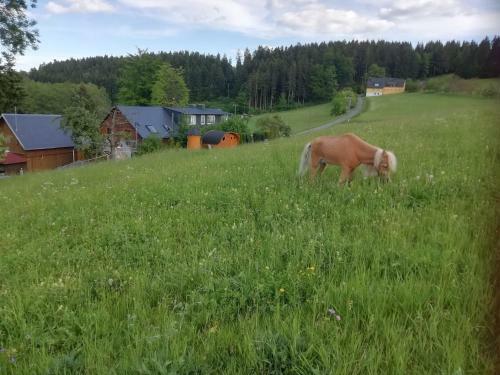 Apartamentos Ferienwohnung H�gelhof