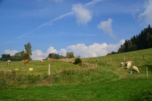 Apartamento Illingm�hle Ferienwohnung