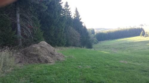 Apartamento Illingm�hle Ferienwohnung