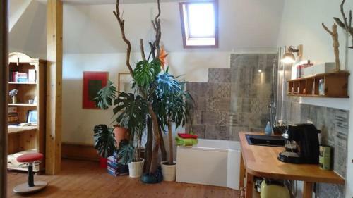 Apartamento Ruheoase Mit Baumkronenblick