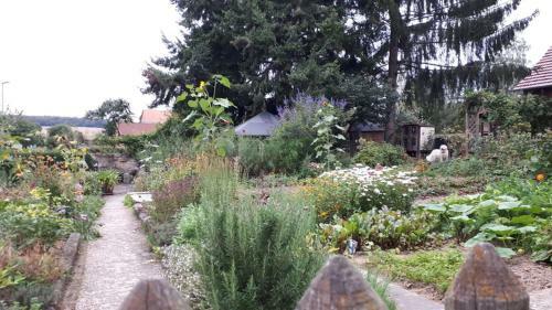 Landpause - G�stezimmer Wiesel