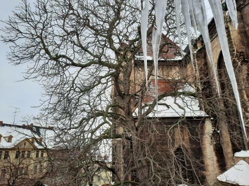 Apartamento Schulmeisterhaus