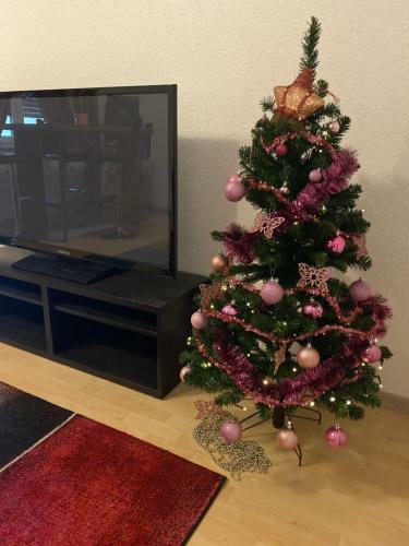 Apartamento Fewo Dana