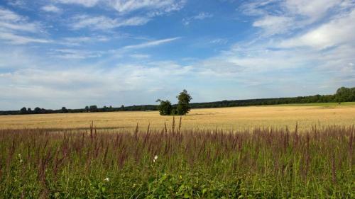 Apartamento Fewo Im Naturpark