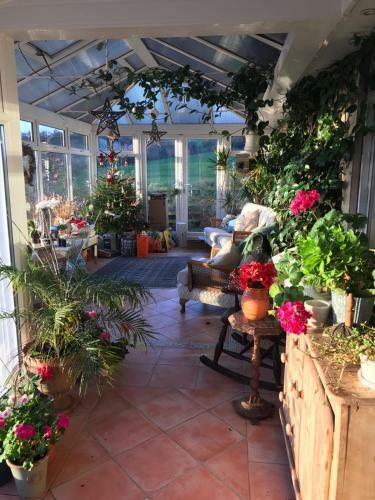 Bed & Breakfast Watchcombe House