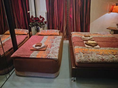 Lion Homestay Munich