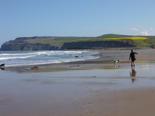 Griff Cottage, Skinningrove