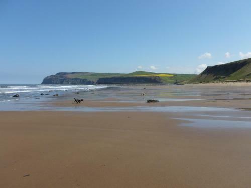 Griff Cottage, Skinningrove