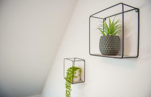 Newly Refurbished Modern Apartment Birmingham