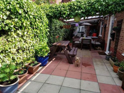 Hostal Beachdene Guest House