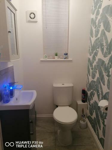 Pleasure Beach Apartment With Garden