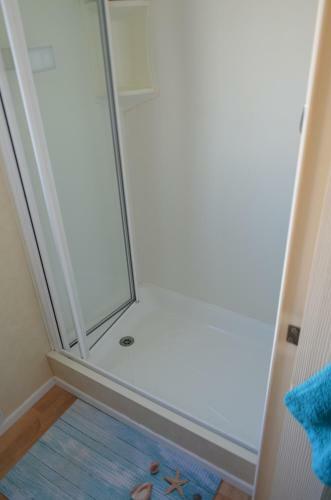 Golden Palm 6 Berth