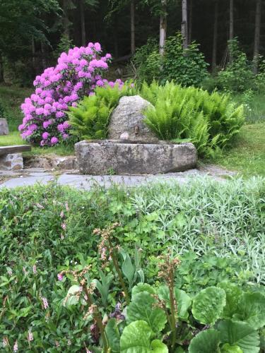 Hostal Landhaus Prei�inger