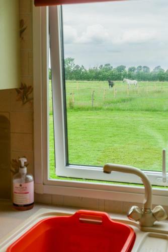 Apartamento Toad Hall, Self Catering, Sleeps Four