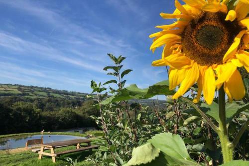 Stags View,unique Eco Cabin, Dartmoor Views