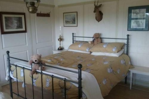 Stags View,unique Eco Cabin, Dartmoor Views