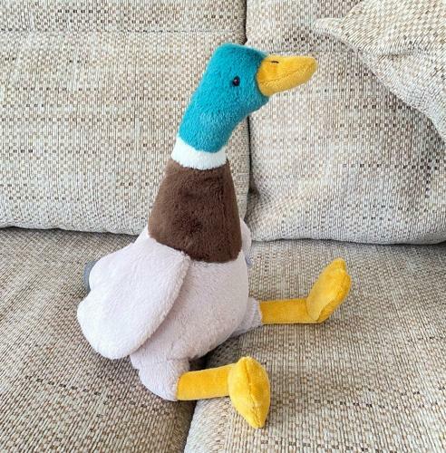 Dabbling Ducks - Pet Friendly