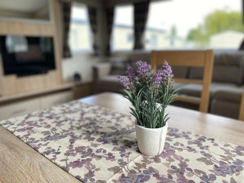 Lavender Lodge, Accessible