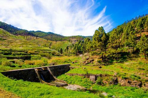 Apartamento Cozy House Agaete Valley