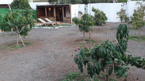 Apartamento El Parral 17