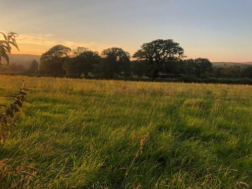 Enchanted Retreats At West Ford Devon