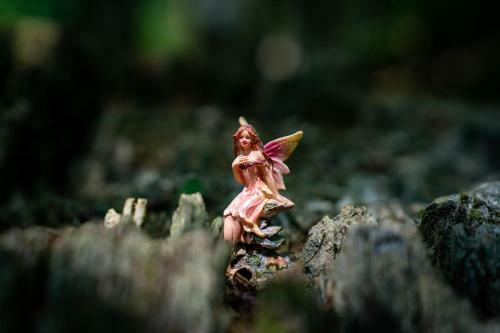 Enchanted Retreats At West Ford Devon
