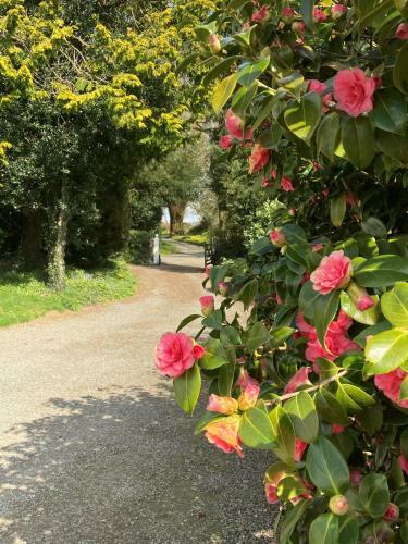 Enchanted Retreats At West Ford Devon