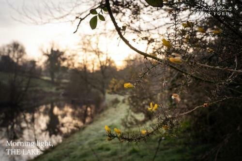 Enchanted Retreats At West Ford Devon