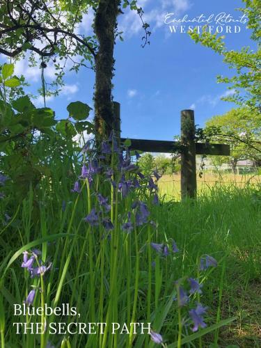 Enchanted Retreats At West Ford Devon