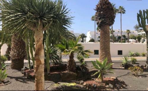 Apartamento Suri Costa Teguise