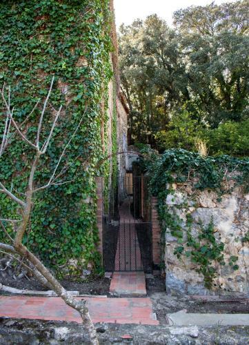 Apartamento El Pedr� De Ventall�