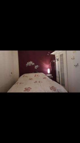 Apartamento Estudio R�a Y Playa