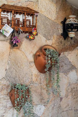 Home2book Cozy Moonlight House Gran Canaria