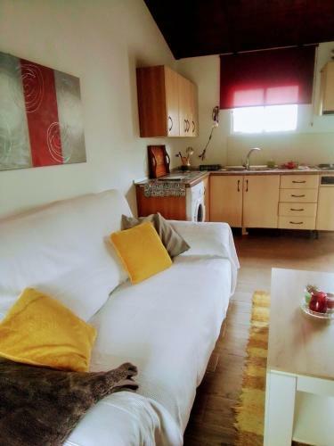 Apartamento Acogedora Suite Con Entrada Independiente.