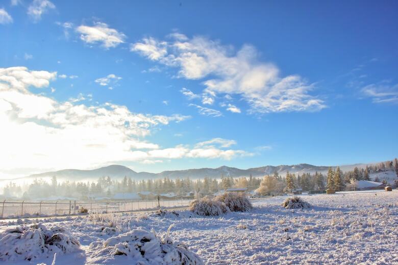 Honey Bear Lodge & Cabins