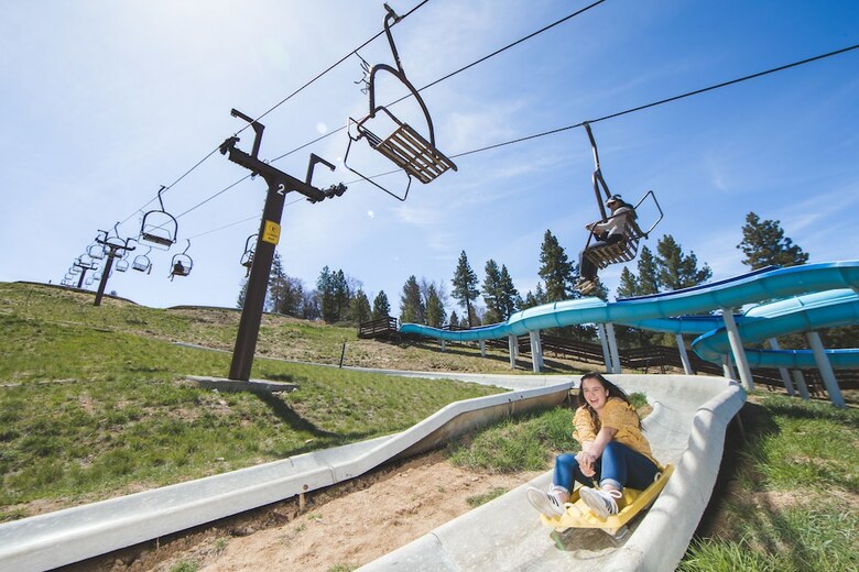 Honey Bear Lodge & Cabins