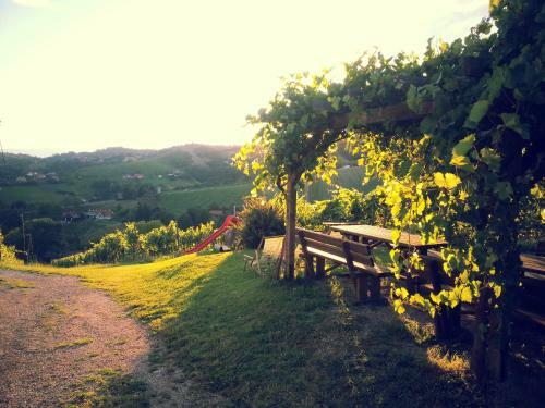 Hostal Winzerei Reiterer