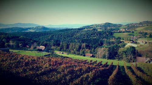 Hostal Winzerei Reiterer