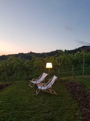 Hostal Winzerei Reiterer