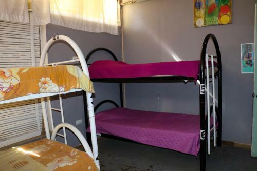 Albergue La Oveja Negra