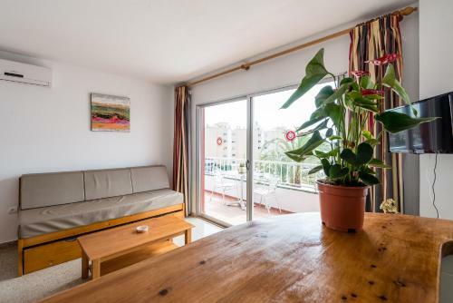 Apartamentos Osiris