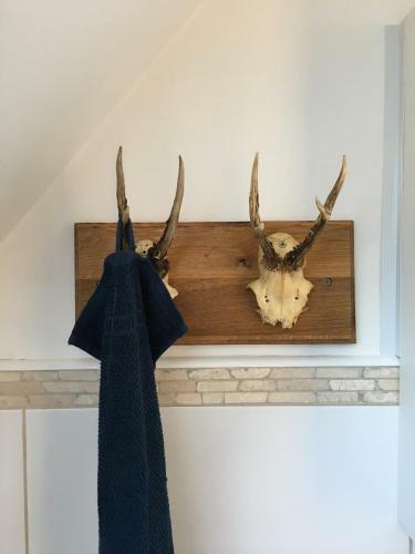 Business Apartment "am M�hlenbach"