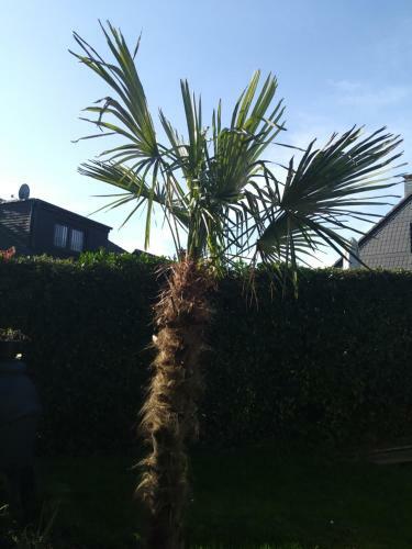 G�ste Monteurzimmer Haus S�dstadt