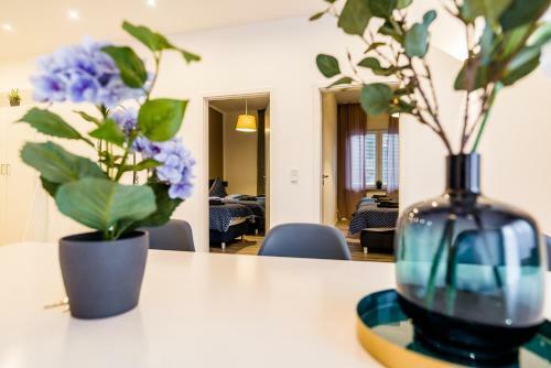 Comodo Apartments Solingen