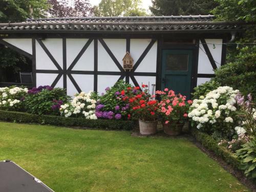 Apartamento Pension L�w