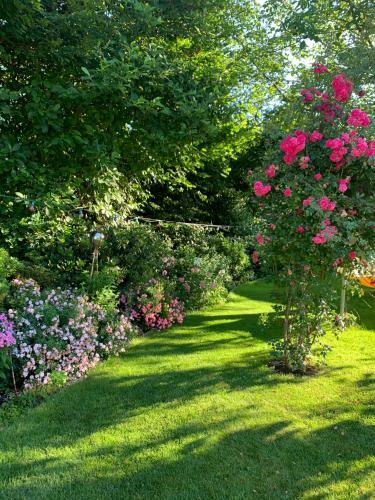Apartamento Pension L�w