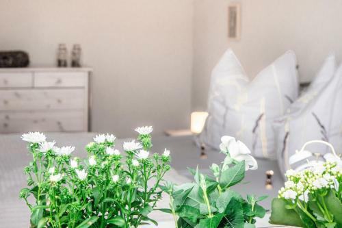 Apartamento Alva