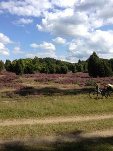 Hotel Neumanns Waldsch�nke