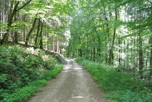 Apartamento Ferienwohnung Zur M�hle